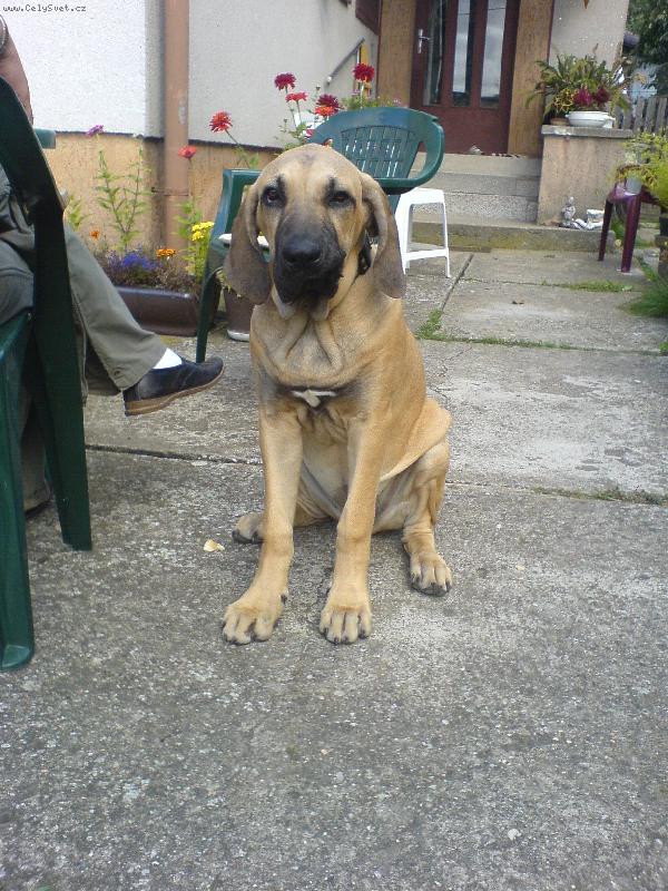 Foto: �t���tko...