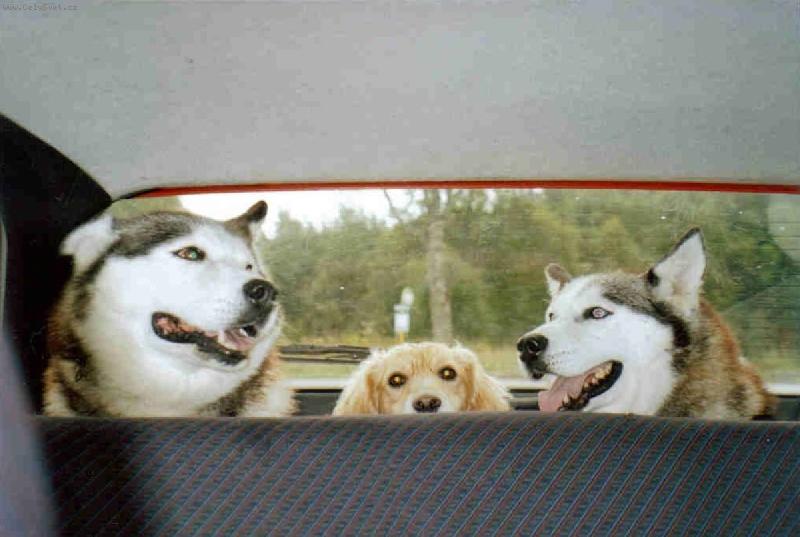 Foto: Ben a jeho bodyguardi