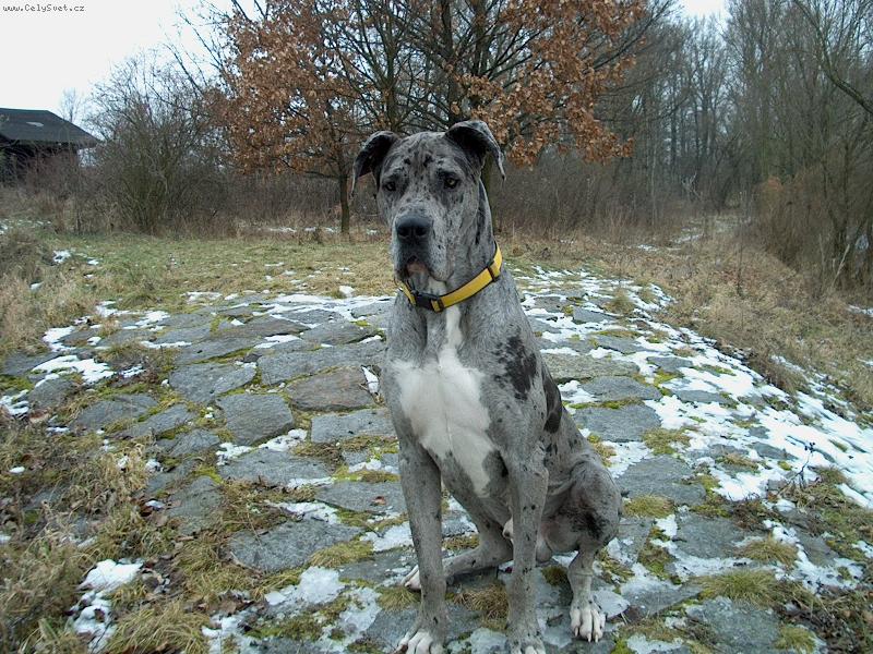 Foto: Nufl�k-v 8 m�s�c�ch