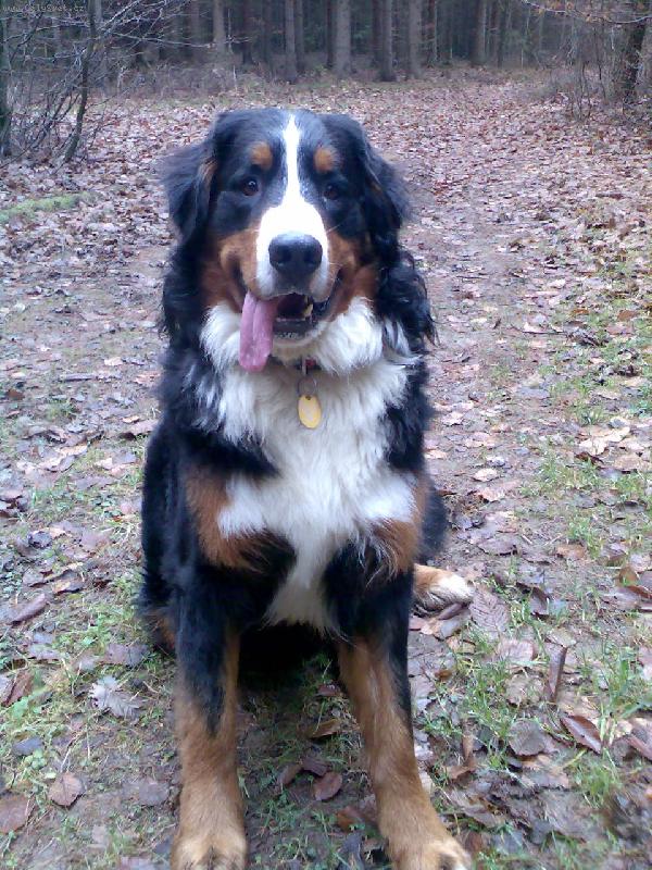 Foto: Na proch�zce