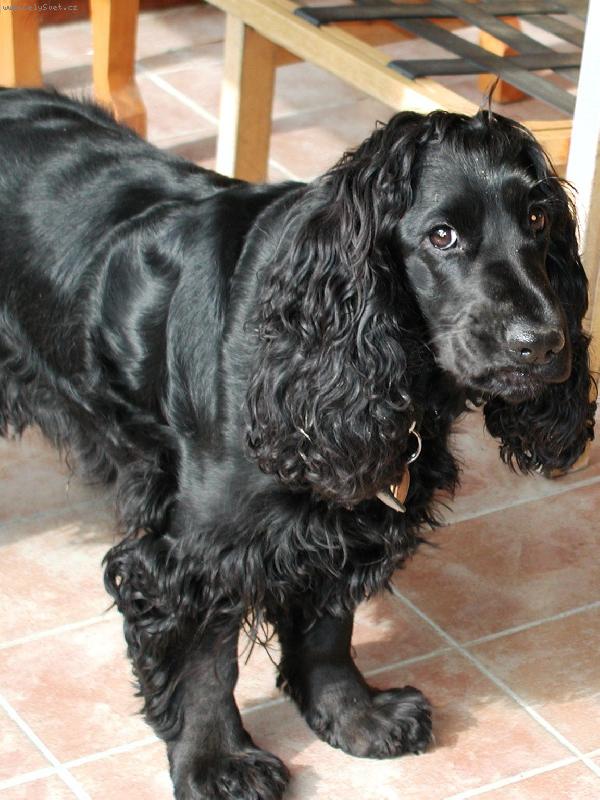 Foto: Nech� toho!!-Peggy se nechce fotit