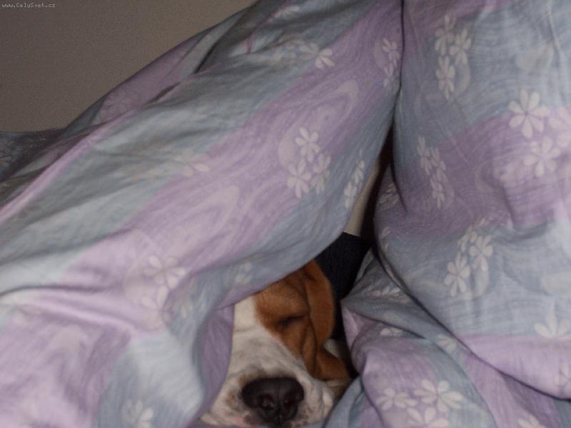 Foto: kouk�m kouk�m a pak najednou spink�m