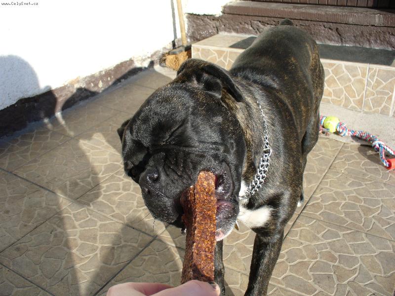 Foto: nell�a-m�am