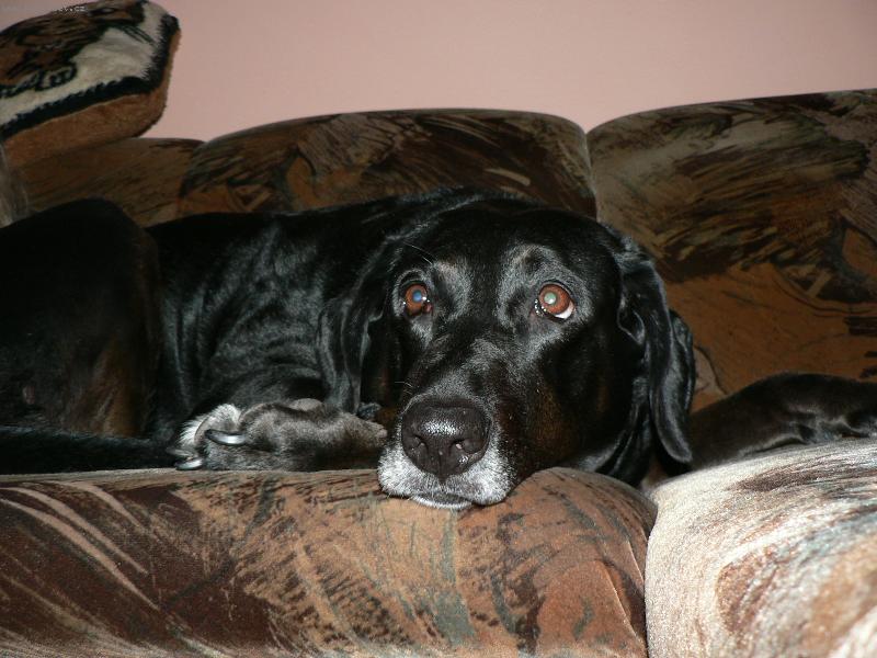 Foto: Cory-kdy� u� bude ta poh�dka