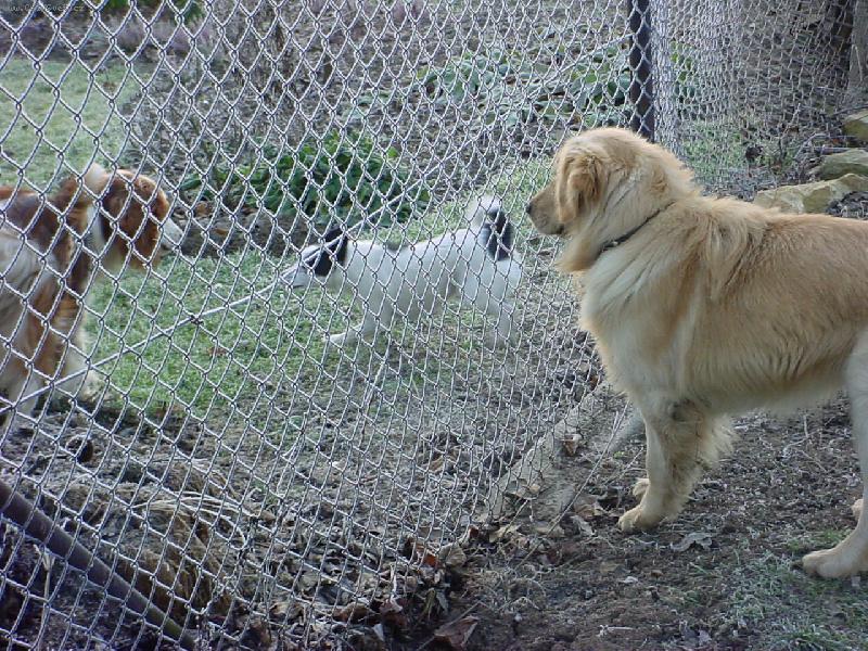 Foto: T�i k�mo�i