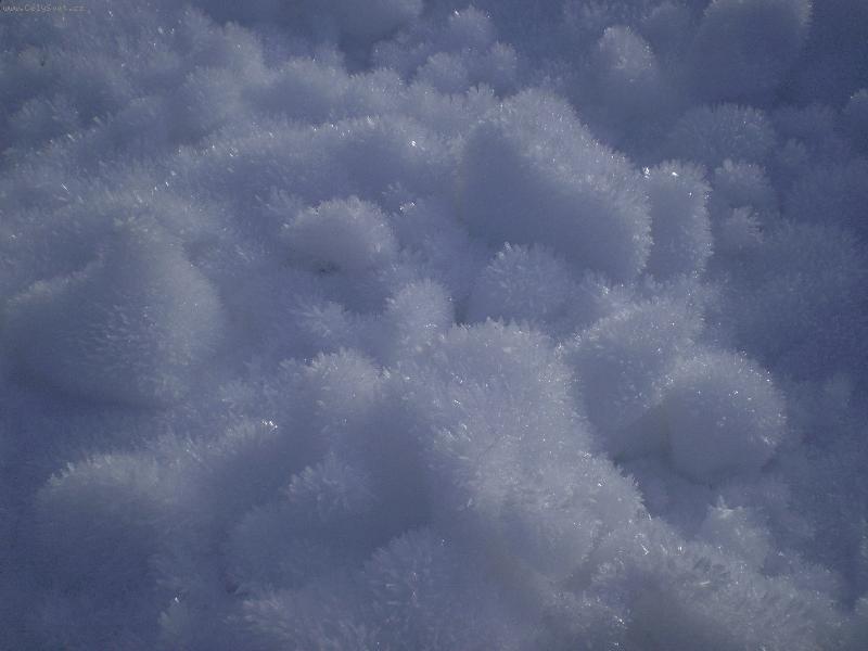 Foto: sn�hov� n�mraza