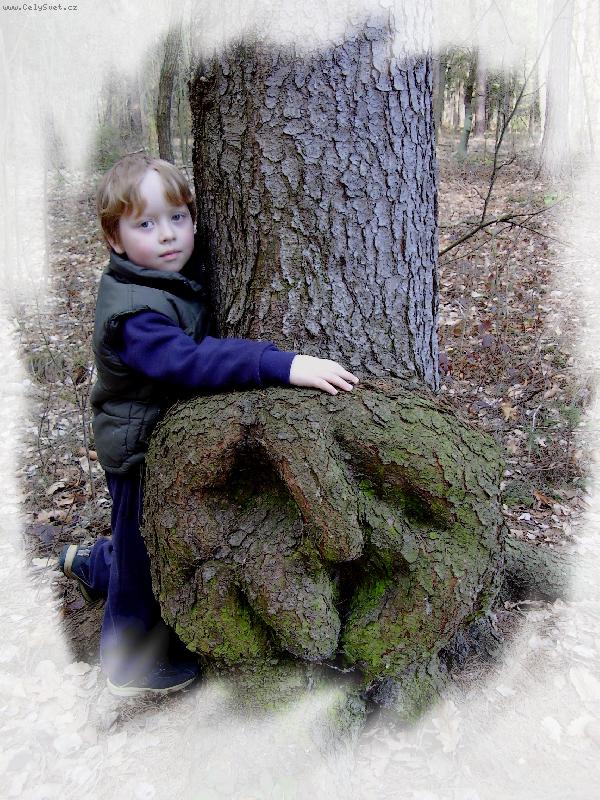 Foto: Obj�m�n�-d�t� obj�maj�c� kmen stromu