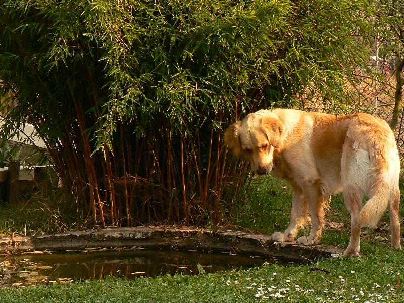 Foto: loven� rybi�ek