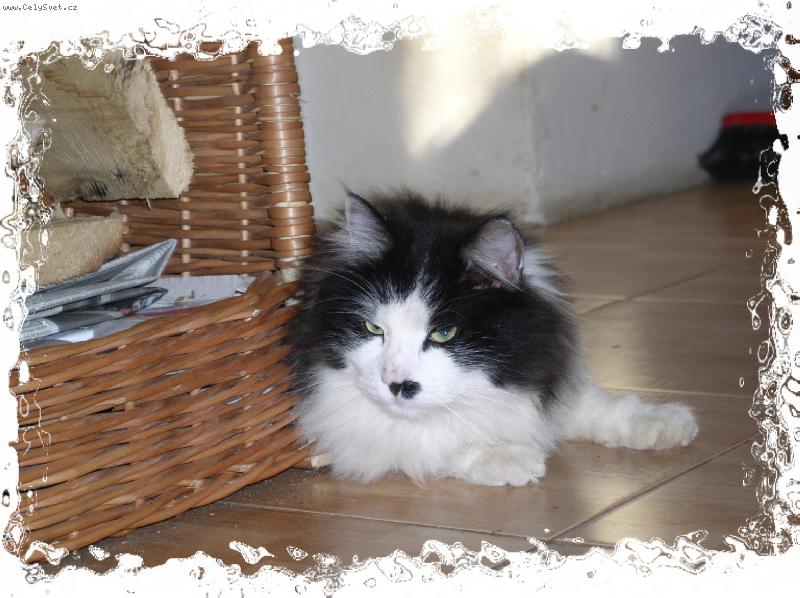 Foto: j� nejsem Hitler, j� jsem F�lix