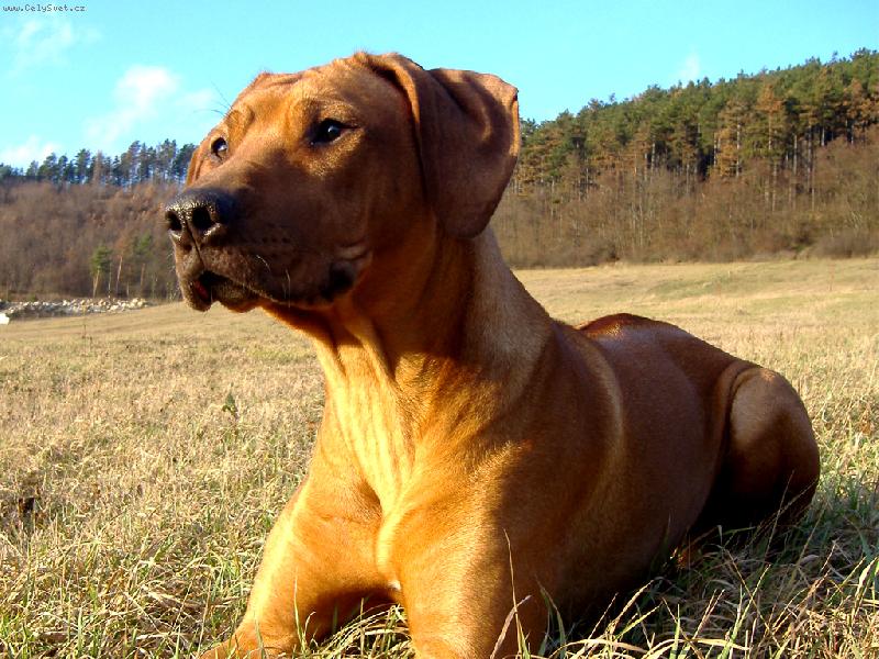 Foto: vyh��v�m se na slun��ku