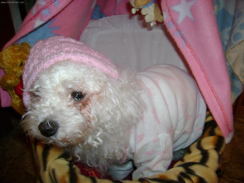 Foto: Na�e mal� miminko