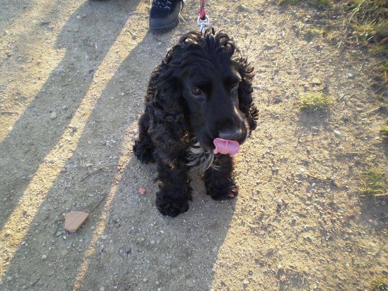 Foto: Egon-S Egonem na vych�zce