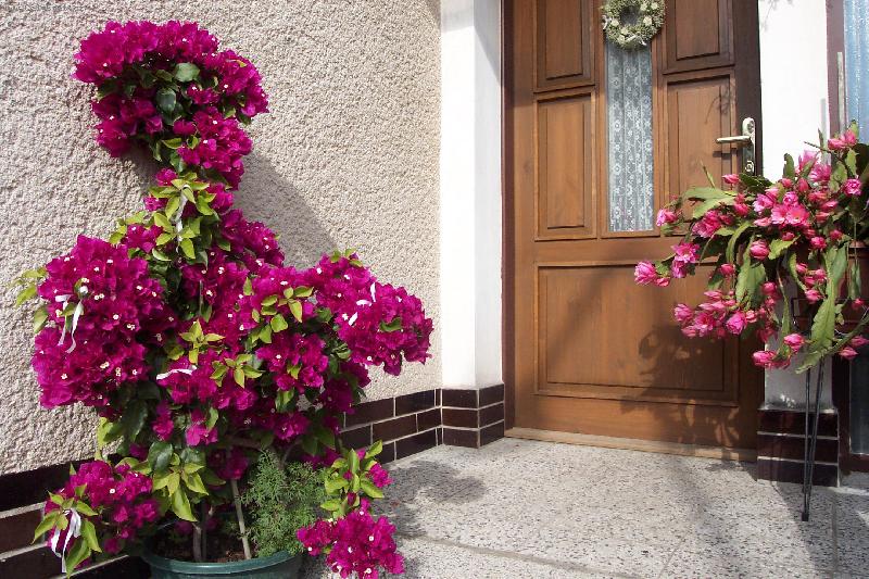 Foto: BOUGENVILEA-svatebn� den