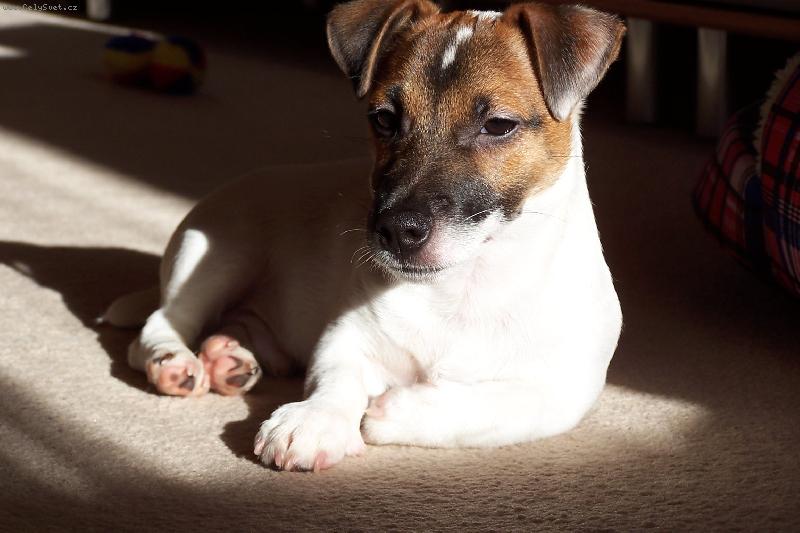 Foto: Odpo�inek na slun��ku