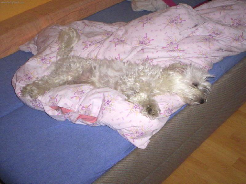 Foto: unaven� Barunka =)