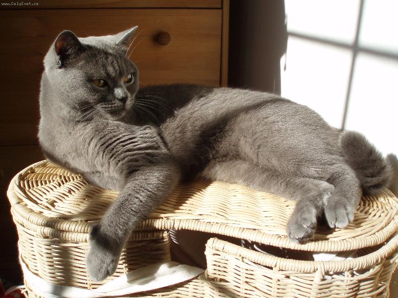 Foto: Opaluji se :o)