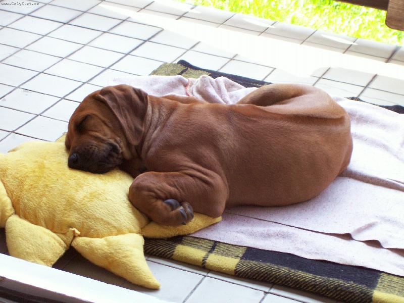 Foto: Na slun��ku