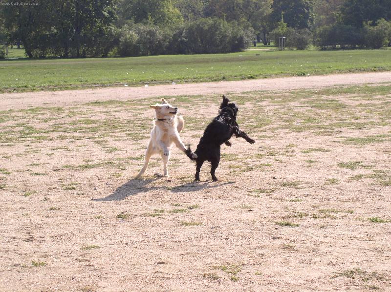 Foto: Dov�d�n� venku