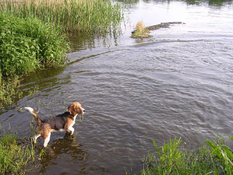 Foto: Kathy-Co mysl� je ta voda tepl�?