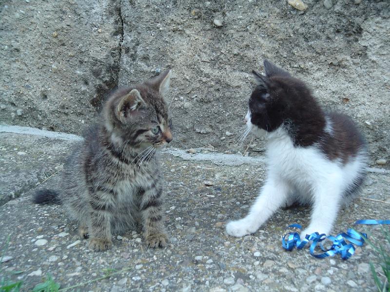 Foto: O�om sa rozpr�vate?