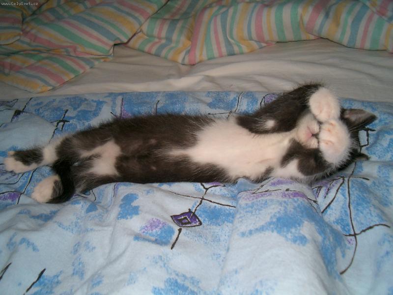 Foto: nejrad�i bych se nevid�l...