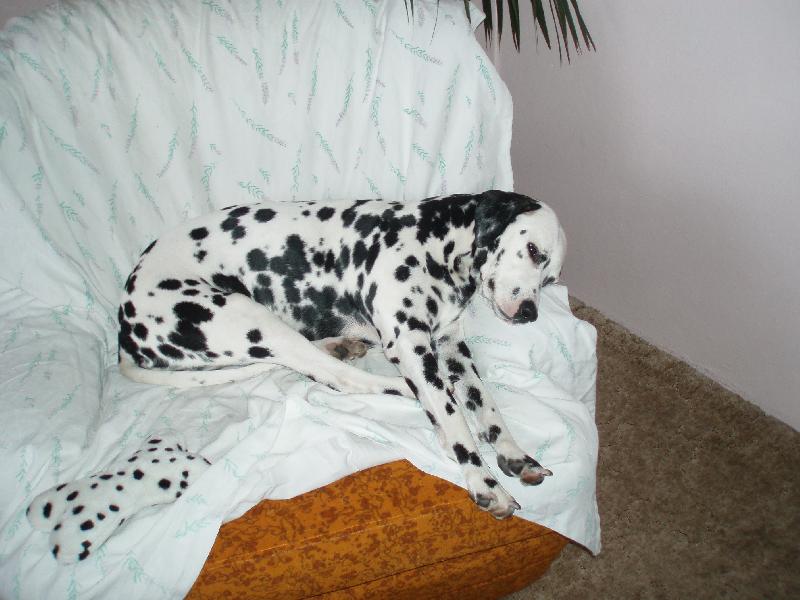 Foto: 20 po ob�d�