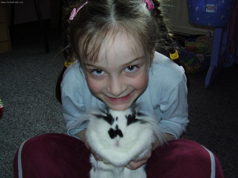 Foto: na�i mil��kov�