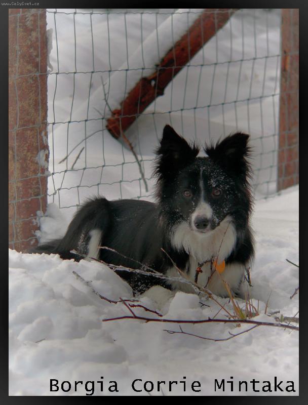 Foto: Borgia Corrie Mintaka-Borgia