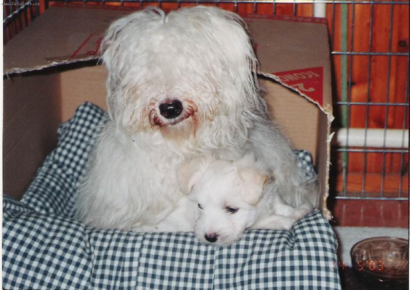 Foto: Matka s dcerou