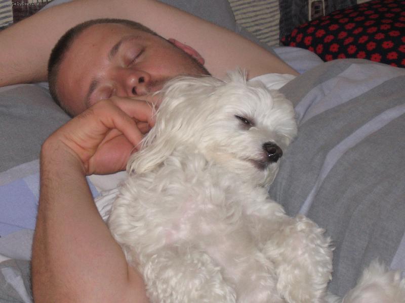 Foto: Schrupneme si, ne?