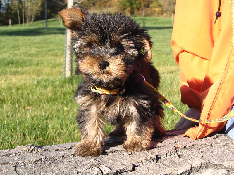 Foto: Malinkatej Kub��ek!