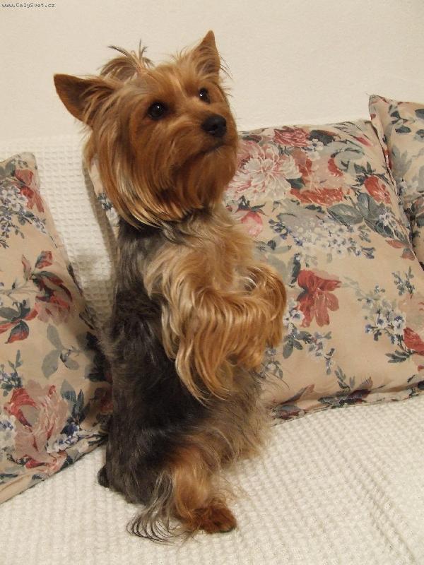 Foto: Pan��kuju!!!!.....