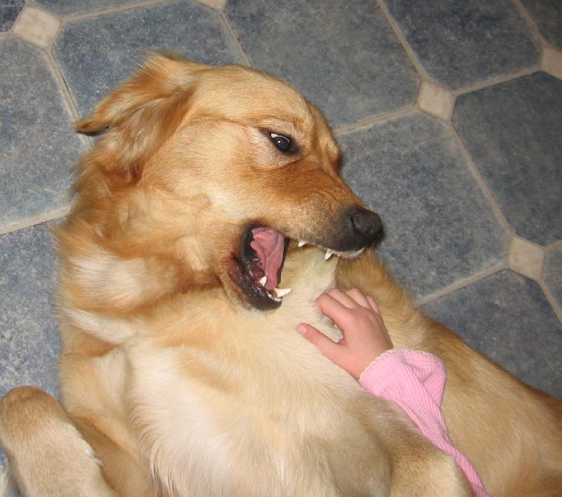 Foto: j� t� kousnu!!!