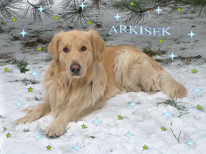 Foto: Arki-men�� �prava, l�b�?