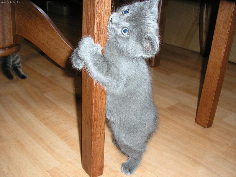 Foto: Stejn� tam jednou vylezu :-)