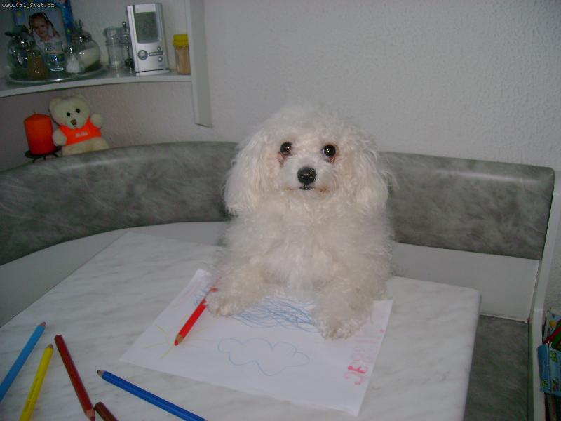 Foto: moje mal��sk� um�n�