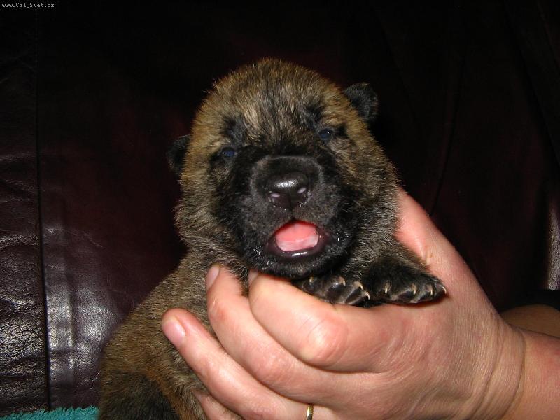 Foto: D�enka-M�m hlad...