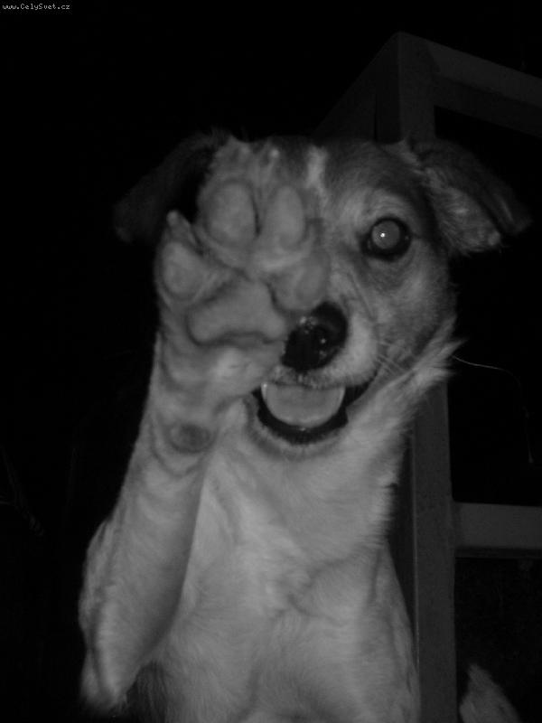 Foto: D�v�m pac :)