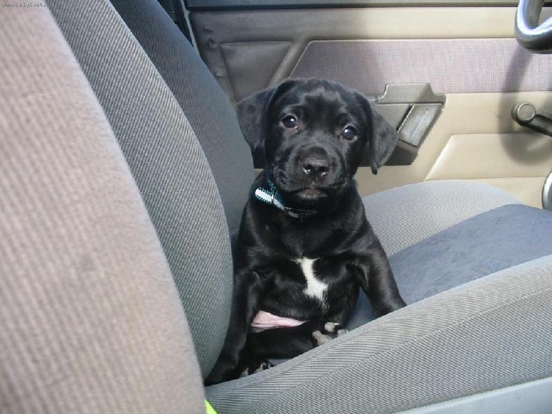 Foto: Ralf-kr�sn�