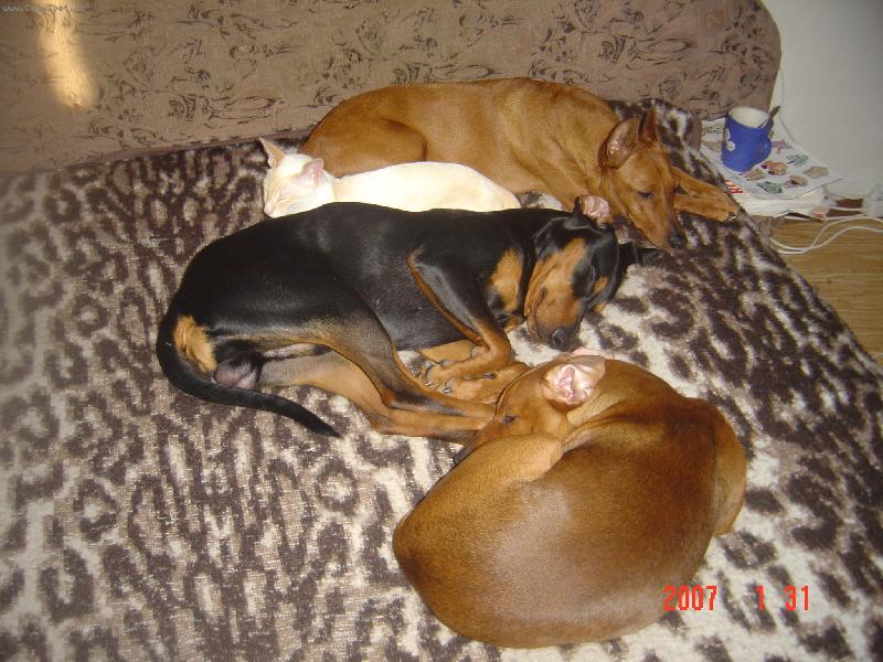 Foto: Prost� jen takov� POHODICKA