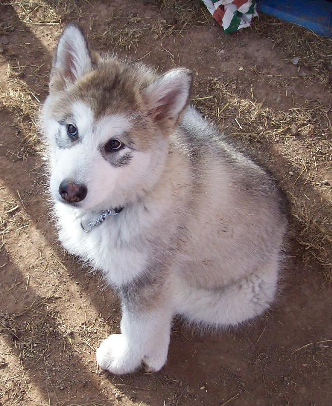 Foto: Tak u� fot�?