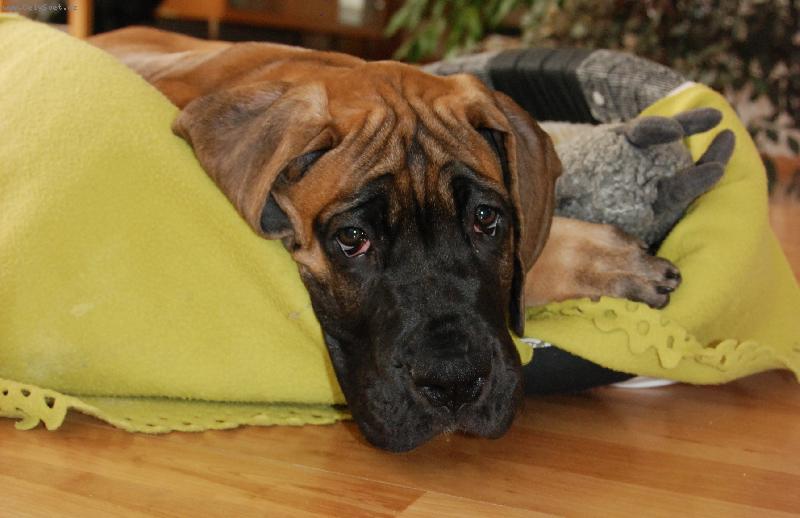 Foto: Nech m� sp�t-Carmello