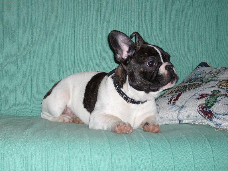 Foto: n�kdo zvon�