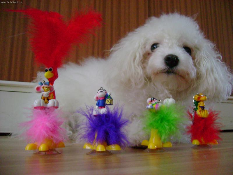 Foto: kamar�di - ne�iv�