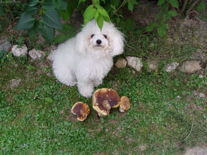 Foto: Jessinka s prav�ky