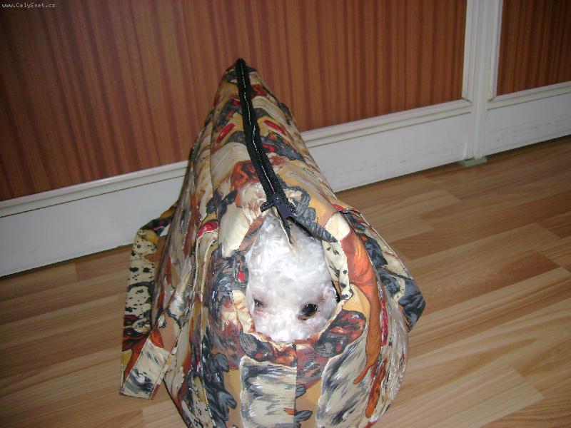 Foto: v p�enosn� ta�ce