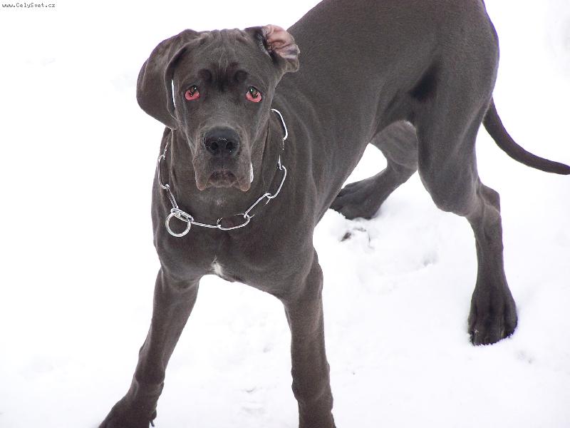 Foto: kuk-bez koment��e