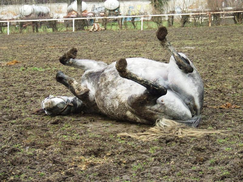 Foto: Bahen� koupel:)