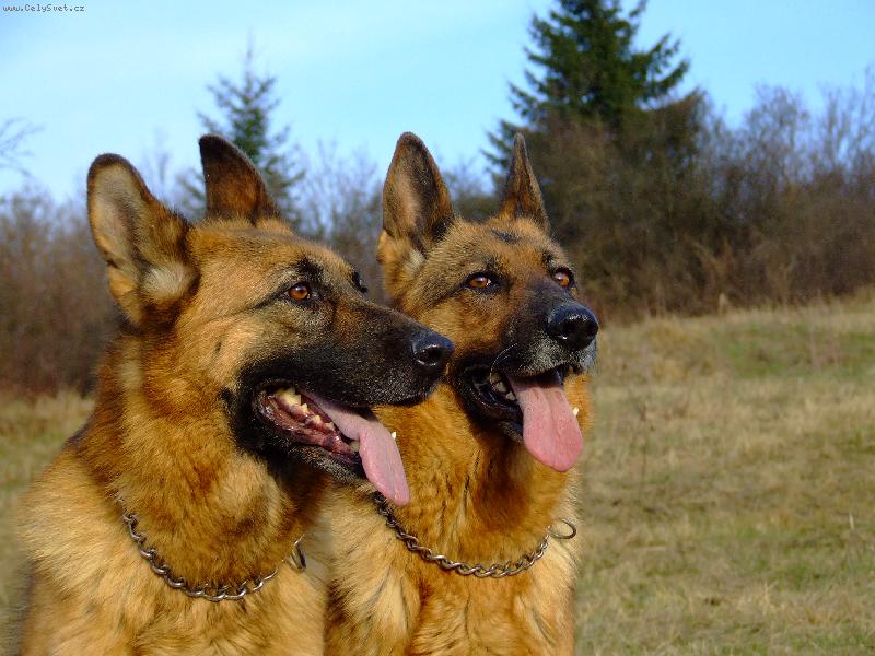 Foto: Na vrchole sveta