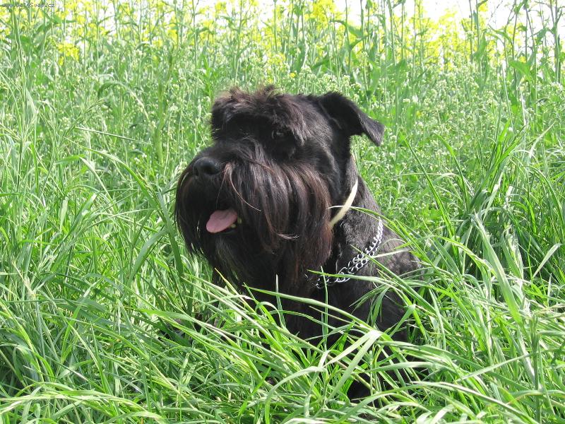 Foto: Jsem si myslel, �e nejsem vid�t